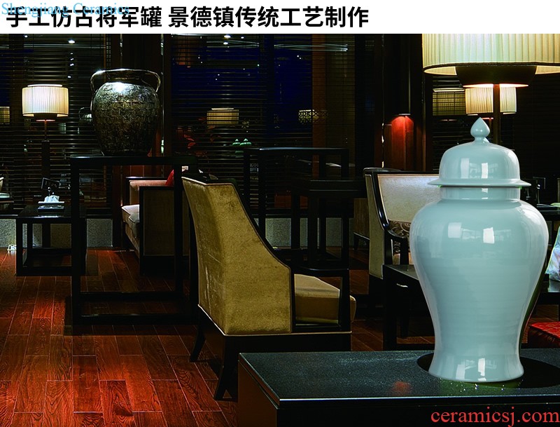 The general pot of furnishing articles household act the role ofing is tasted the modern jingdezhen ceramics creative vase sitting room porch ark crafts