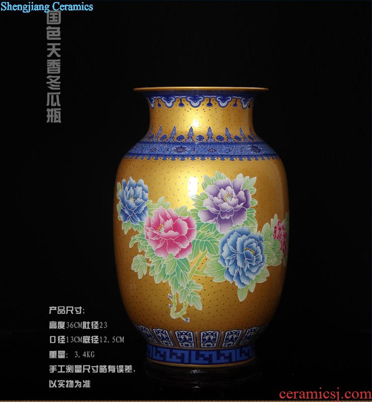 Aj45 jingdezhen ceramics of large vase furnishing articles rich lad admiralty bottles of the sitting room of Chinese style household furnishing articles