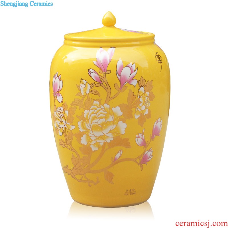 Jingdezhen chinaware paint hand-painted pu 'er tea pot with cover household seal storage tanks Chinese tea set size