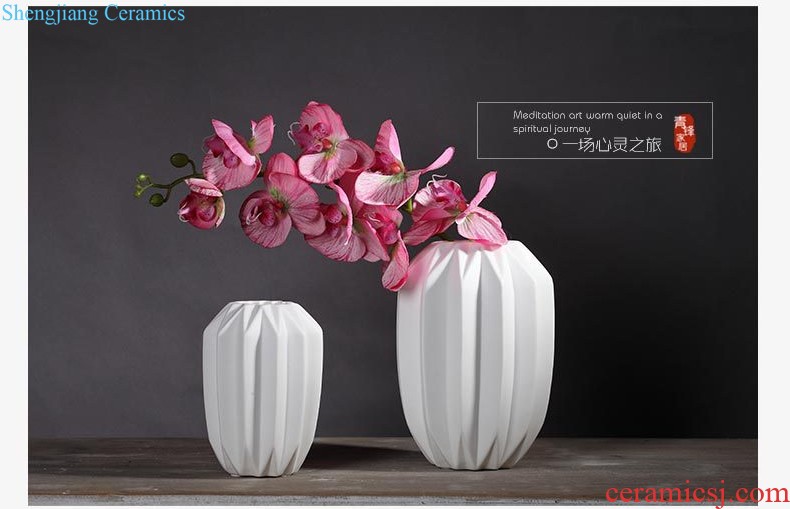 Jingdezhen ceramic vase furnishing articles dry flower arranging flowers large landing household adornment of contemporary sitting room simulation flower suits