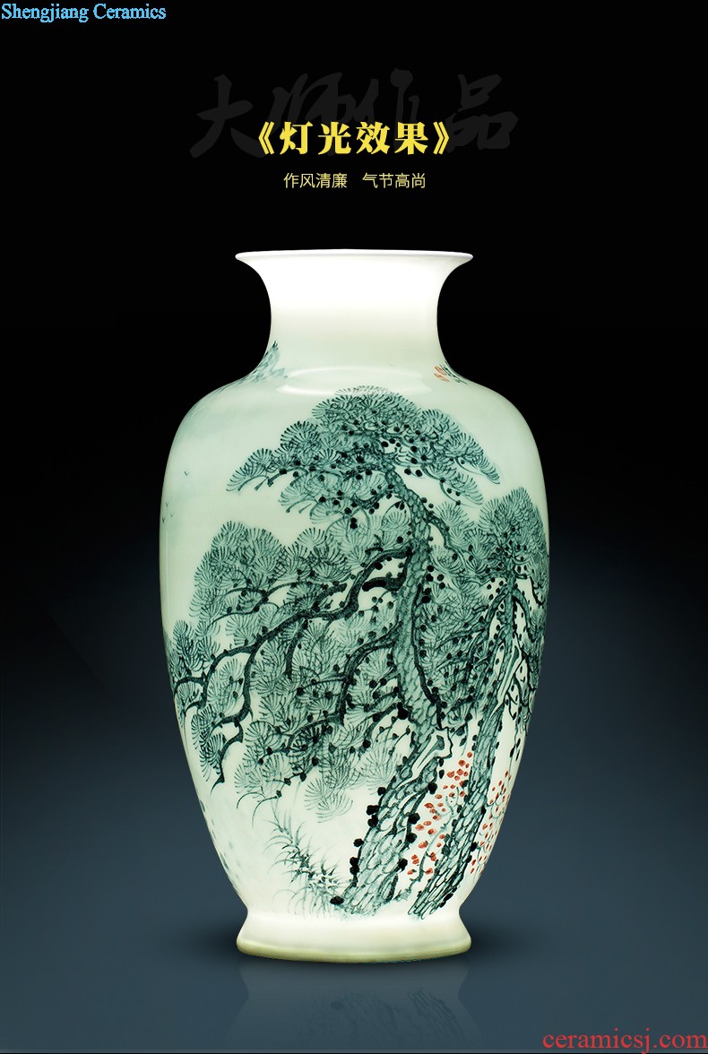 Jingdezhen ceramics antique hand-painted peacock vase sitting room adornment of large Chinese penjing opening gifts