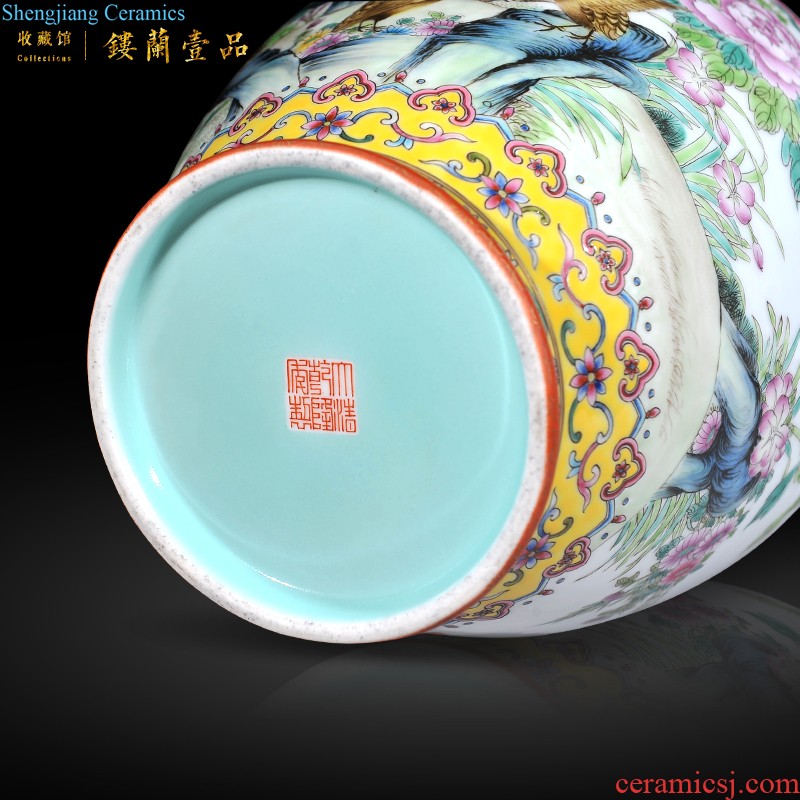 Jingdezhen imperial kiln chinaware archaize qing qianlong enamel pastel scramble for CV 18 wealth ears flat bottles of furnishing articles