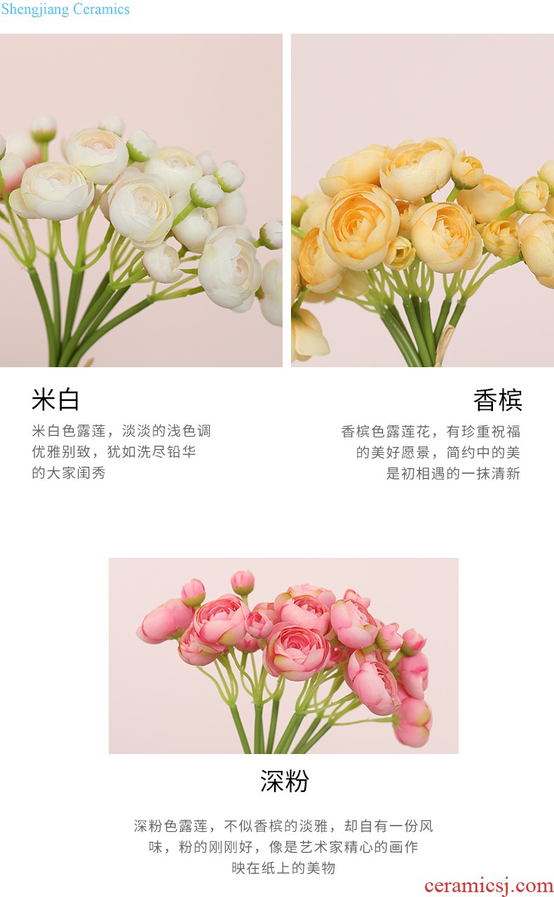 Mr Han mei Europe type restoring ancient ways ceramic vases, flower implement furnishing articles creative fashion mesa bottled L247 roses