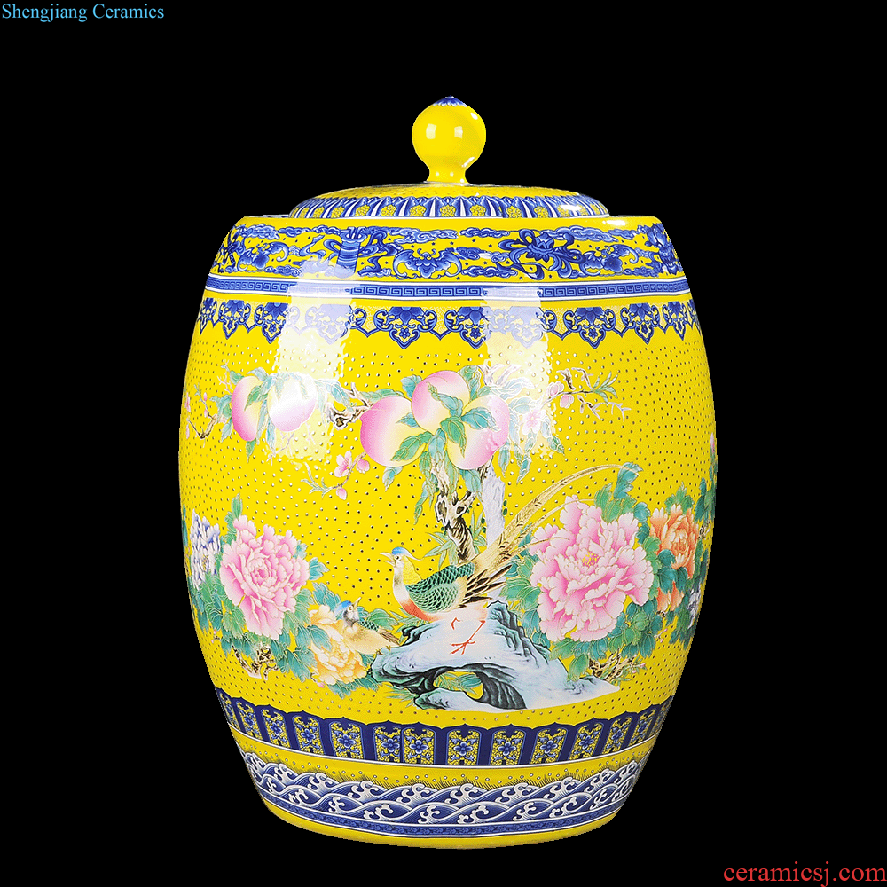 Jingdezhen ceramics vase hand-painted sabingga sukdun dergici jimbi plum bottle of flower arranging new Chinese contemporary sitting room decoration