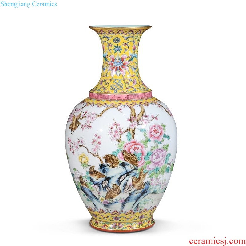 Jingdezhen imperial kiln chinaware archaize qing qianlong enamel pastel scramble for CV 18 wealth ears flat bottles of furnishing articles