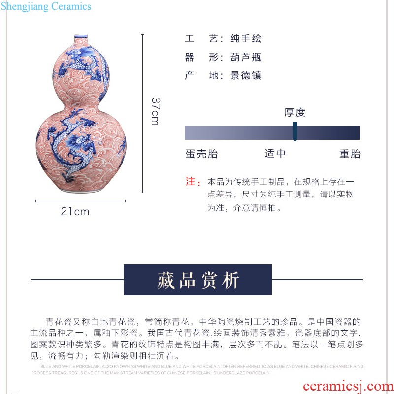 Master of jingdezhen ceramics hand-painted famille rose porcelain vase Snow jiangshan home decoration collection furnishing articles