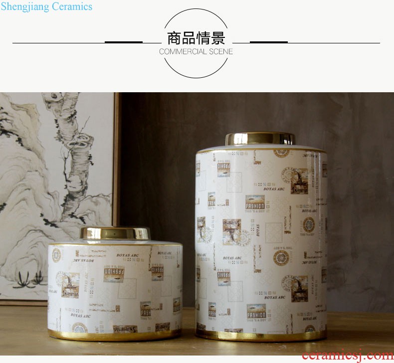 Rain tong home | jingdezhen ceramics european-style swan ice crack pot flat ceramic furnishing articles sitting room porch decoration