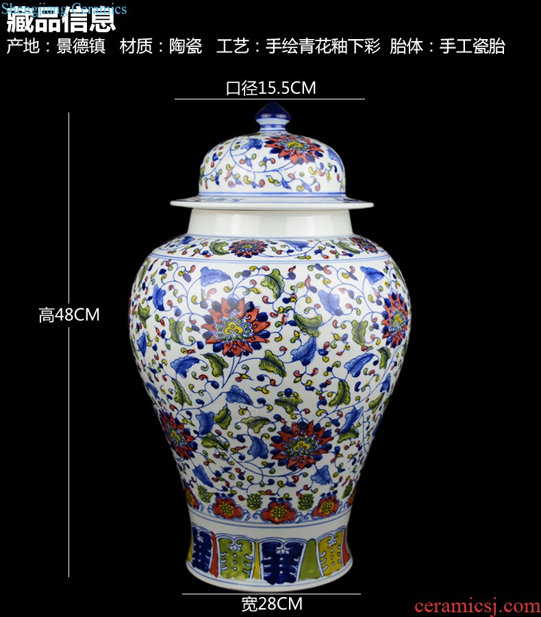 Jingdezhen ceramic hand-painted vases furnishing articles celebrity master new Chinese style household act the role ofing is tasted the sitting room porch place by hand