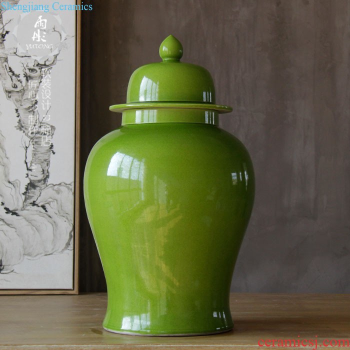 Rain tong home | jingdezhen ceramics gold-plated silver pot-bellied general tank storage tank manual home furnishing articles in the living room