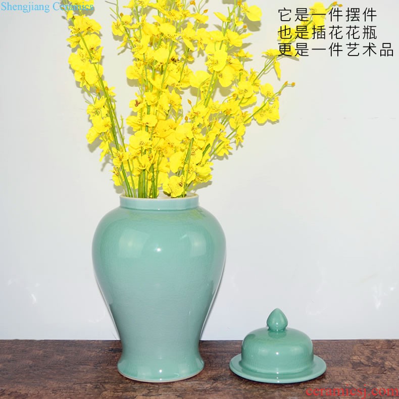 Jingdezhen ceramic pot Chinese hand-painted lotus sitting room between example creative household soft adornment handicraft furnishing articles