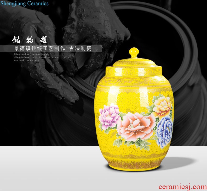 Jingdezhen ceramics vase hand-painted sabingga sukdun dergici jimbi plum bottle of flower arranging new Chinese contemporary sitting room decoration