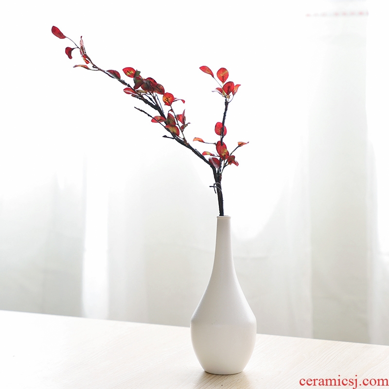 Nan sheng I and contracted simulation artificial flowers ins household act the role ofing is tasted ceramic vase hydroponic flower arranging flowers, mesa furnishing articles