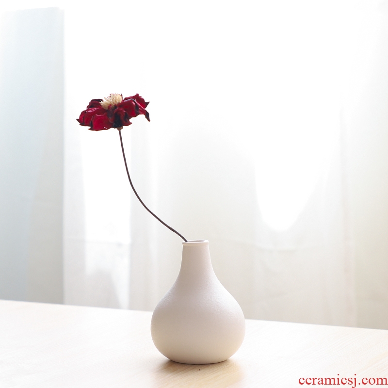Nan sheng I and contracted ins wind simulation flowers home decoration ceramic vase false hydroponic flower arranging flowers, furnishing articles