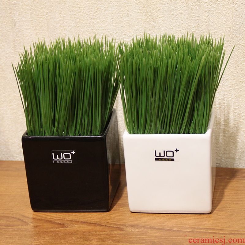 The Send + and fresh green plant potted flowers, high simulation of wheat seedlings money grass ceramic vase set decoration
