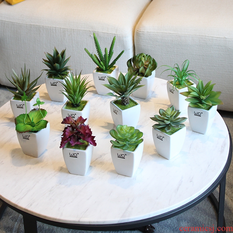 The Send + high simulation fleshy green plant pot with ceramic flower pot fresh Nordic wind bookshelf sink decorative furnishing articles