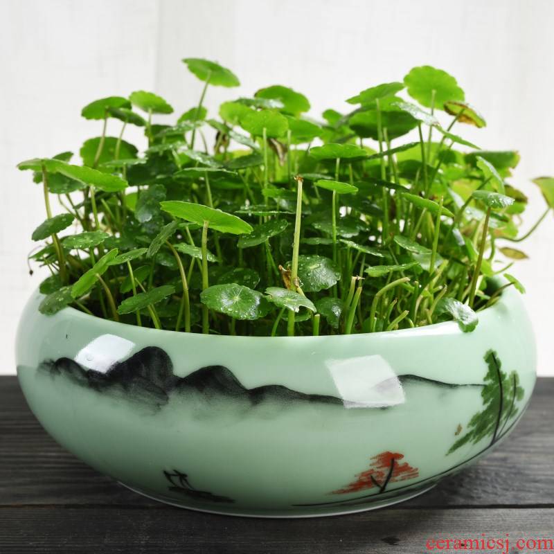 Hand - made celadon copper grass flower pot daffodil water lily bowl lotus non - porous ceramics special offer a clearance hydroponic more large meat