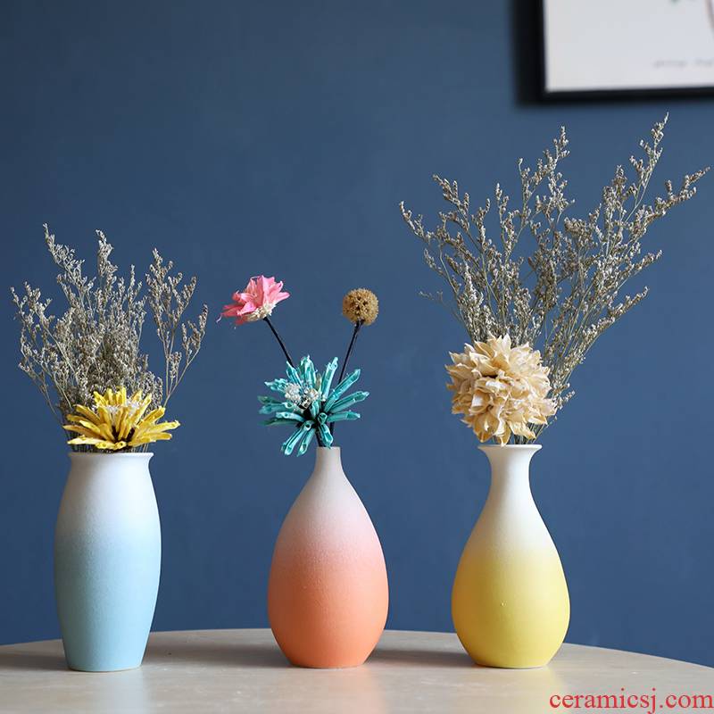 Small pure and fresh and dried flower adornment table furnishing articles Nordic TV ark, desktop ceramic floret bottle of flower arranging house sitting room