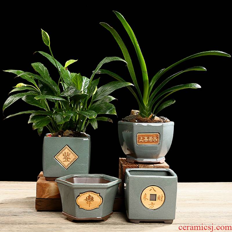 Elder brother up with purple sand flowerpot ceramic green plant restoring ancient ways other household butterfly orchid flower pot in special breathable asparagus, fleshy