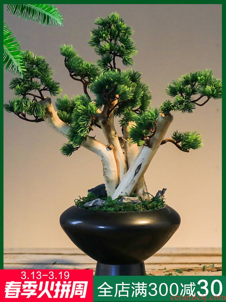 Jingdezhen ceramic guest - the greeting pine simulation the plants between example of new Chinese style hotel club micro landscape, green plant small place