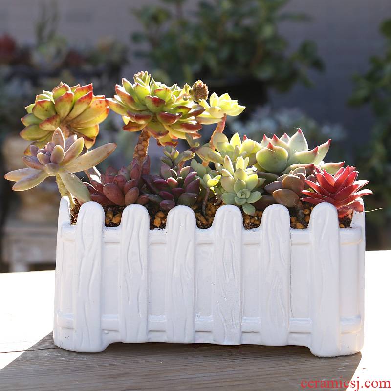European white contracted more than other meat flowerpot ceramic large rectangle big platter flowerpot pack mail special offer a clearance