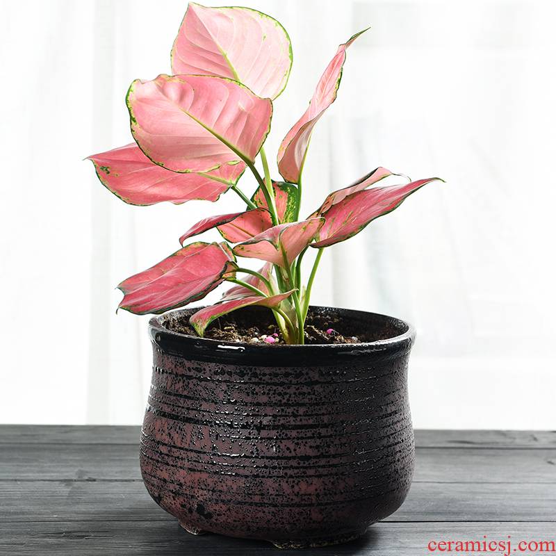 Meat Meat large coarse pottery flowerpot ceramics breathable clay bracketplant creative butterfly orchid dedicated more than other Meat big flower pot