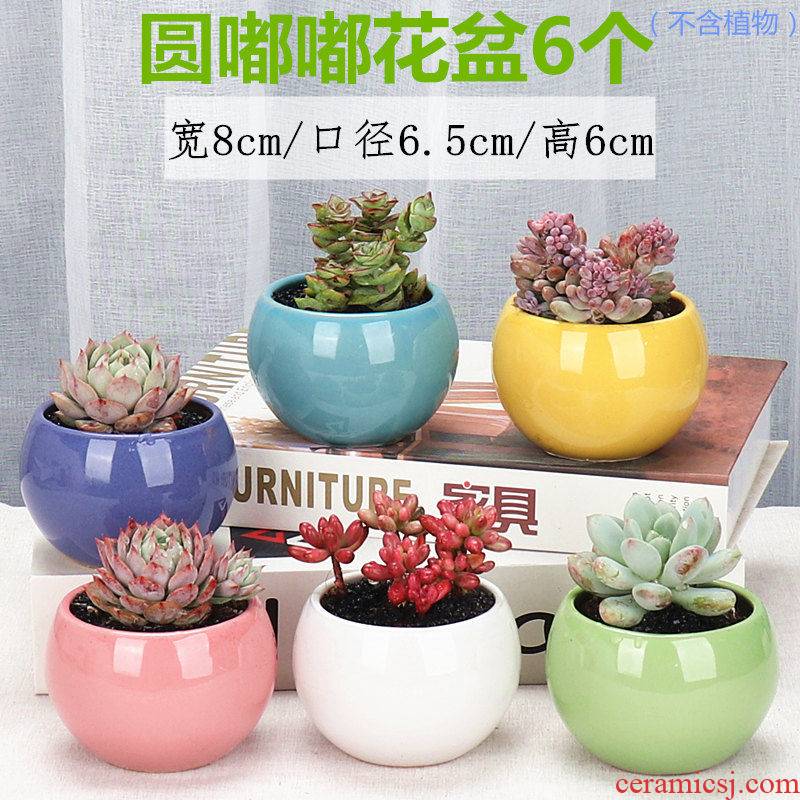More meat meat meat flowerpot pack mail special old running the violet arenaceous basin coarse ceramic flower POTS, fleshy pot breathable small basin clearance