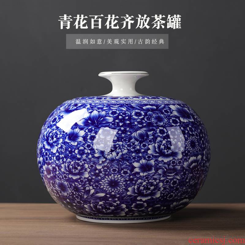 Blue and white porcelain tea pot of pu 'er tea, green tea loose tea 2 jins of large - sized ceramic seal tank storage POTS