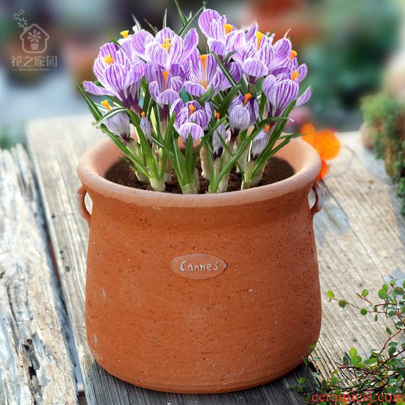 Red clay flowerpots, Japan and South Chesapeake creativity gardening coarse pottery balcony flowers potted meat more breathable rose clay pot