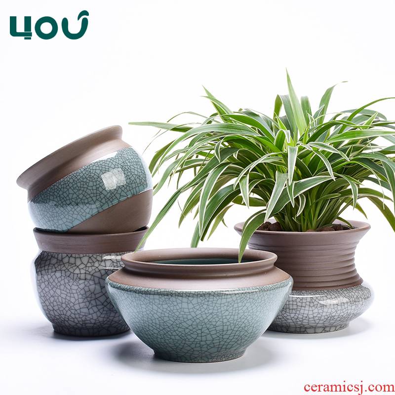 Special bracketplant purple butterfly orchid flower POTS restoring ancient ways the elder brother of the ceramic up household meat meat meat the plants more breathable clay POTS