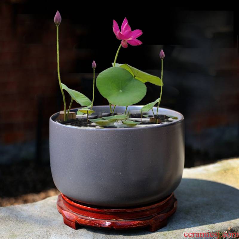 Paragraphs to restore ancient ways more bowl lotus pond lily hydroponic flower pot lotus lotus the plants ceramics nonporous basin product recommendations