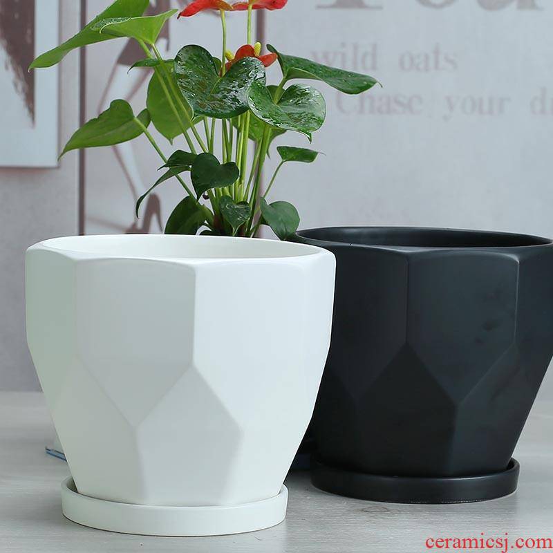 Ceramic POTS Nordic character high contracted white large clearance is suing living room on sale mail with tray other bag