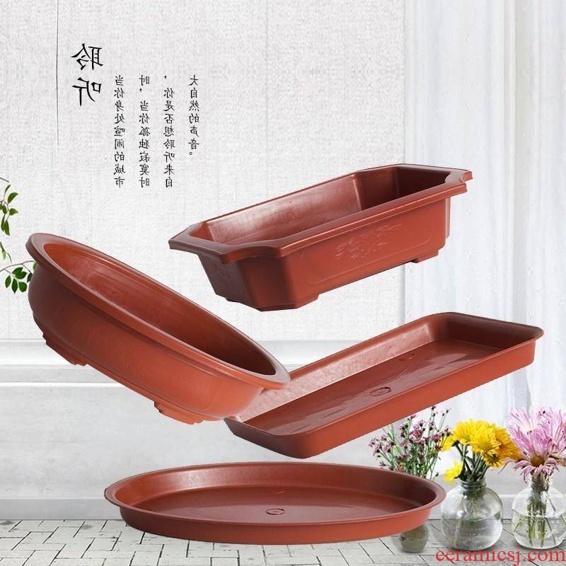 Otherwise rectangular oval pot pot special plastic imitation of violet arenaceous balcony fleshy potted bonsai pot without pallets