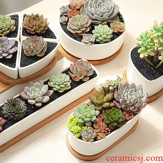 Meaty plant pot ceramic flower POTS, fleshy meat meat flowerpot more meat basin with tray was creative rectangular white porcelain basin