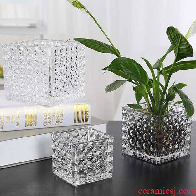Little more pure and fresh glass vase hydroponic planting green, the plants money plant flower implement transparent sitting room tea table decoration furnishing articles
