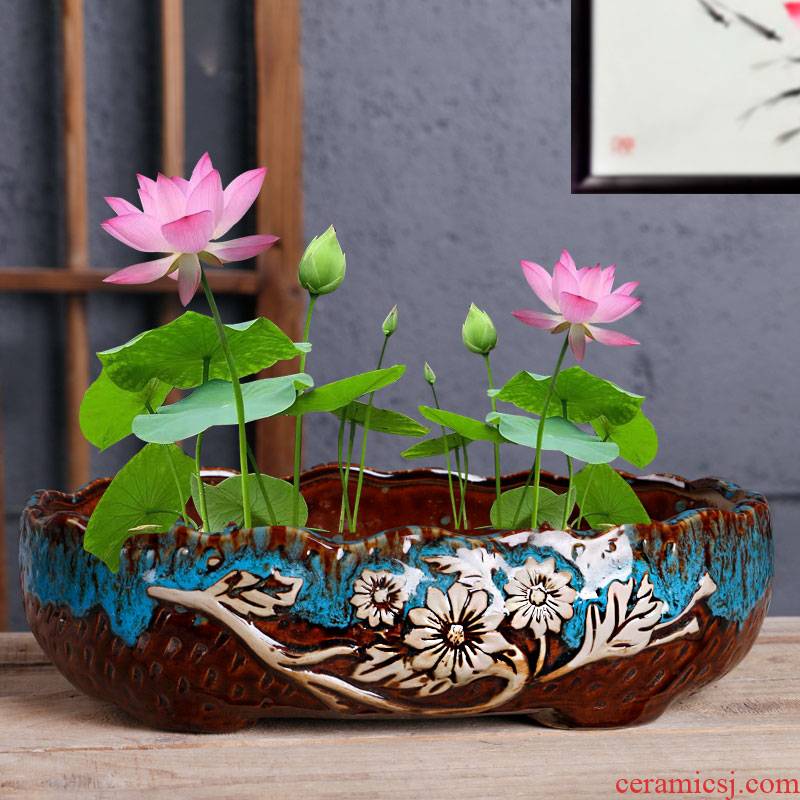 Refers to flower pot ceramic large contracted without holes of large diameter copper grass special pot, fleshy hydroponic lotus bowl lotus leaf