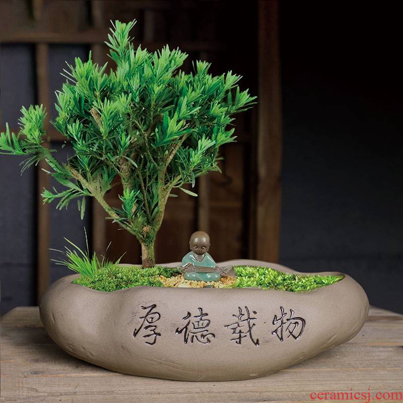 Chinese wind flowerpot indoor miniascape green plant pot, fleshy creative large - sized asparagus artistic flowerpot ceramic calamus basin