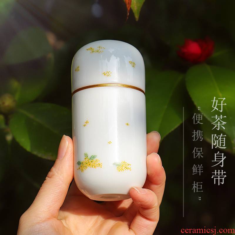 The Escape this hall creative jingdezhen ceramic small caddy fixings portable sealed as cans small POTS with pure manual travel