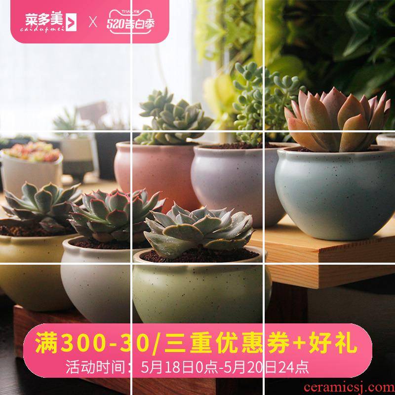 The Food tome meaty plant flower pot ceramic contracted marca dragon colored glaze name plum meat meat flowerpot ice crack pot
