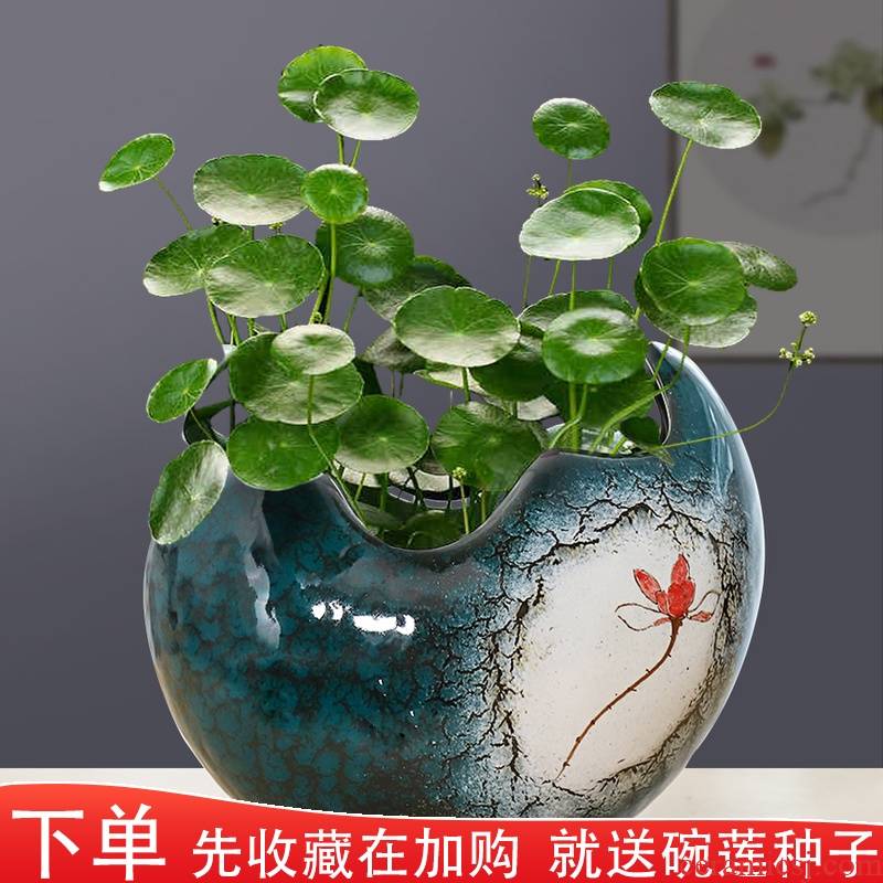 Large ceramic flowerpot daffodil hydroponic indoor green, the plants bonsai house creative move copper bowl lotus basin of grass