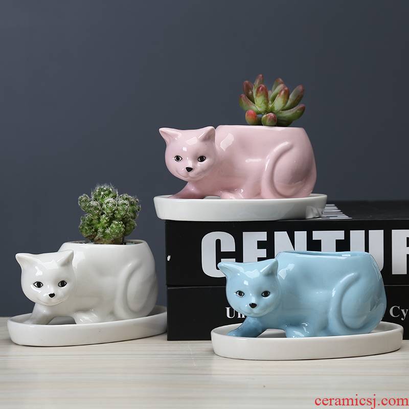 Cartoon animal plant POTS ceramic creative move more meat to indoor small potted flower, white porcelain with tray