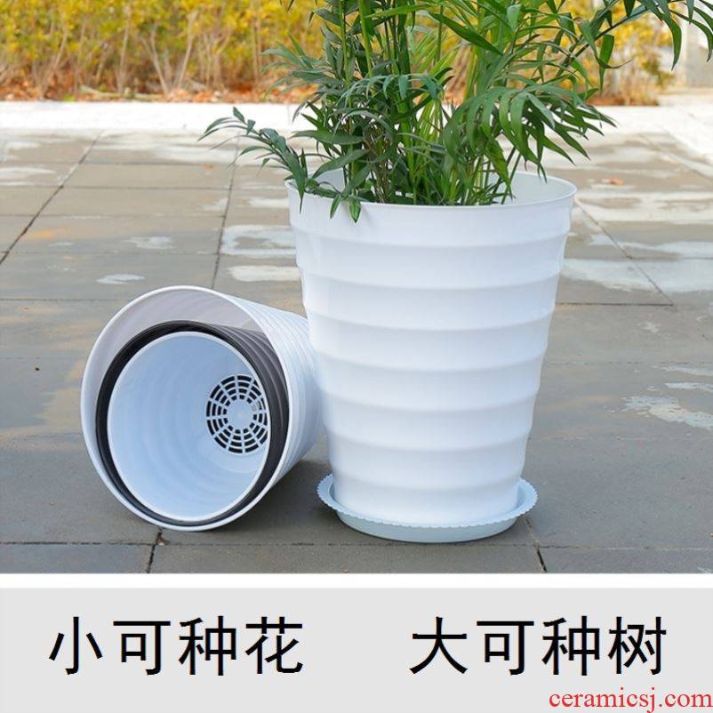 Planting other caulis dendrobii miao retro black white green plant plant flowers, potted flower pot ceramic rich tree can save the water