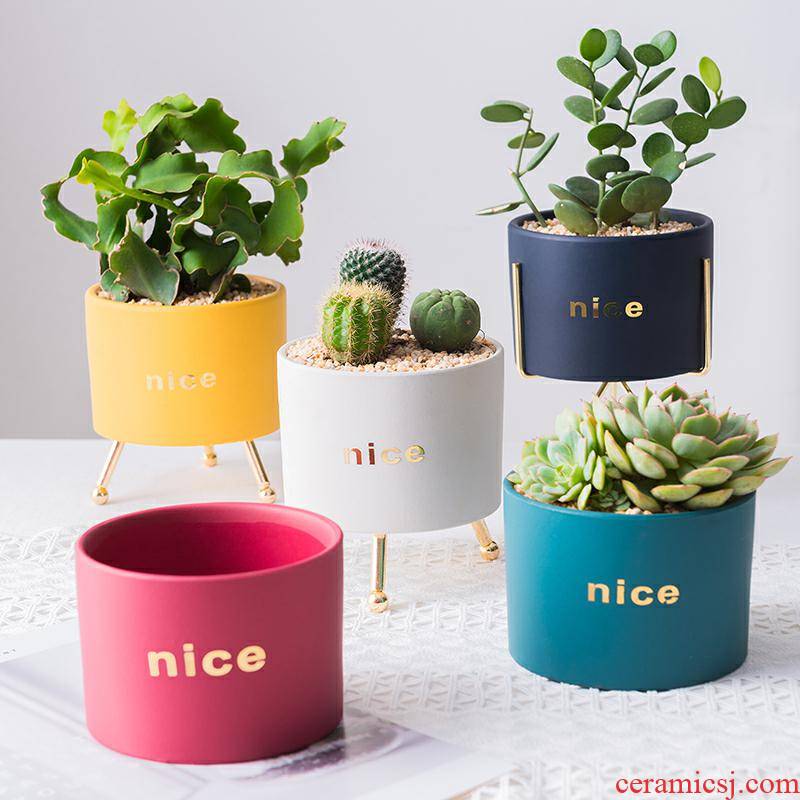 Ins Nordic contracted ceramic flower POTS round small white flesh combination suit nonporous meaty plant flower pot