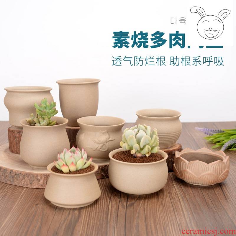 Grain ceramic meaty plant pot contracted creative DIY ceramic device cactus potting biscuit firing crock pot