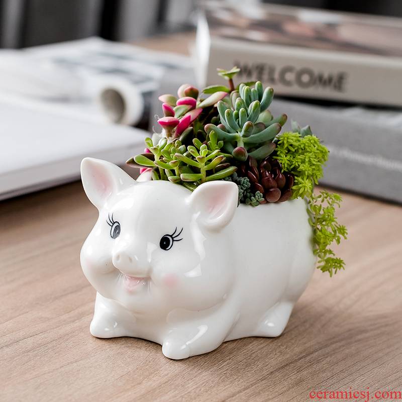 Department of European style of the cartoon animal pig meat flowerpot creative move more lovely hand - made ceramic flower pot home sitting room