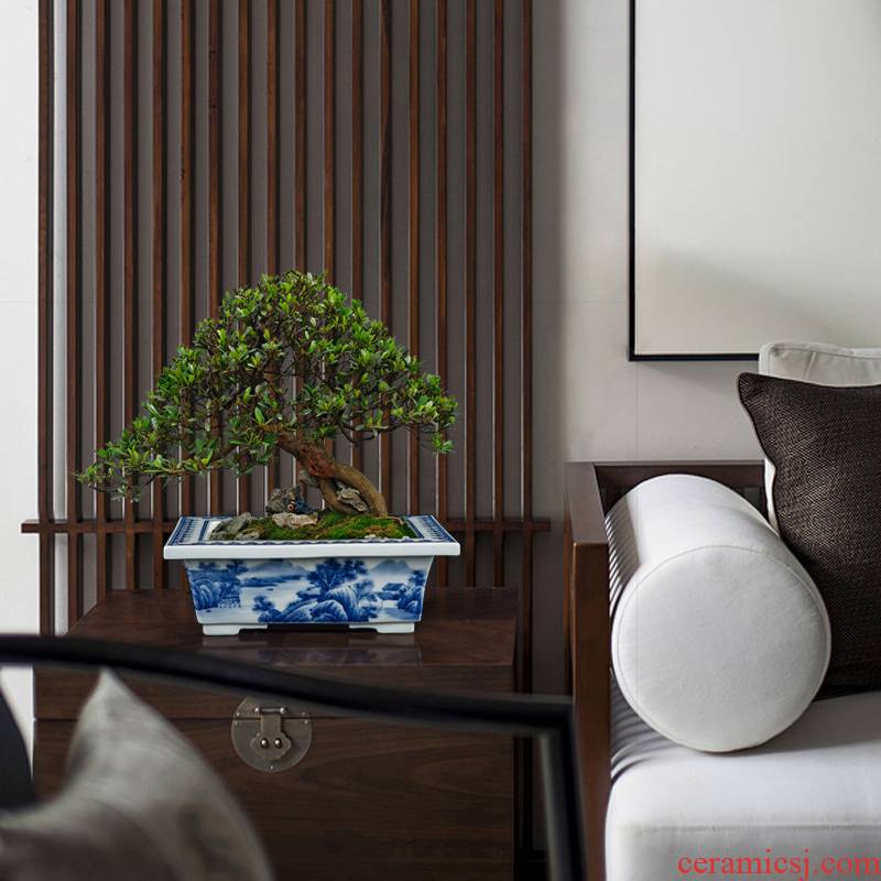 Jingdezhen blue and white porcelain hand - made gentleman orchid dedicated bonsai POTS rectangular floor furnishing articles creative desktop