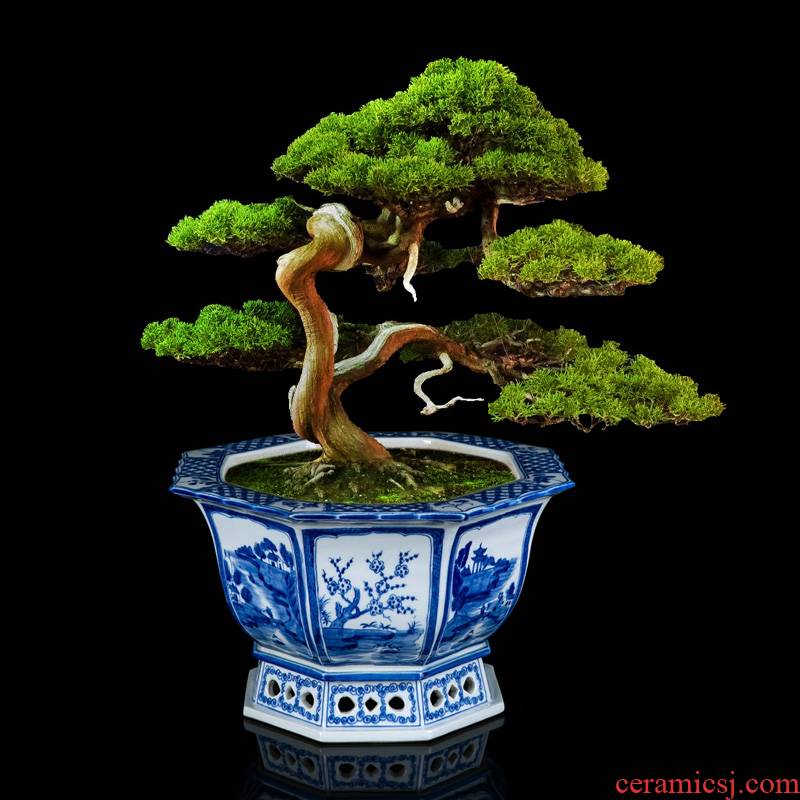 Anise jingdezhen blue and white flower pot ceramics hand - made podocarpus flowerpot to welcome orchid basin ancient potted the plants