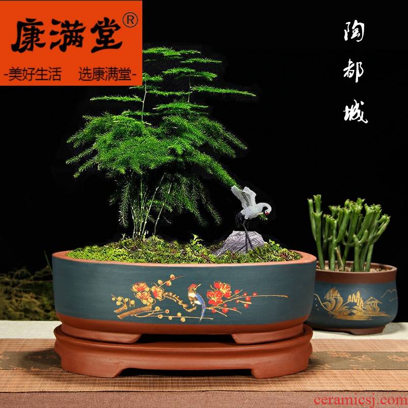 Purple sand flowerpot oval bonsai pot square pedestal stippling ceramic stump interior contracted