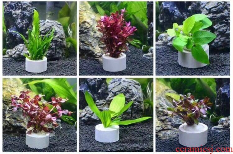 Cultivating sink water plant fixed small basin landscape ecological aquarium stone, ceramic ring water cup filter purification sucker