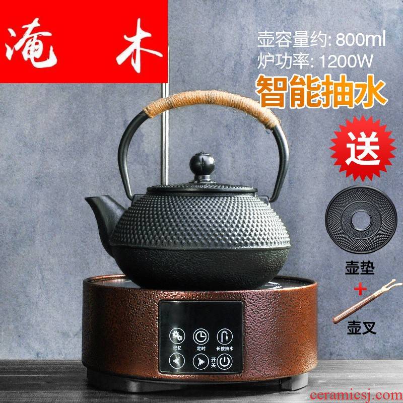 Submerged wood pumping electric TaoLu cast iron tea pot boiled water suit imitation Japan iron tea kettle boil water