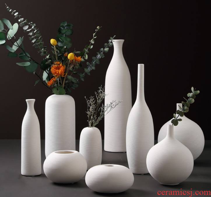 TV ark, north European modern home decoration contracted the white ceramic bottle furnishing articles sitting room dry flower arranging flowers
